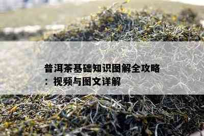 普洱茶基础知识图解全攻略：视频与图文详解