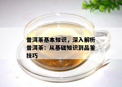 普洱茶基本知识，深入解析普洱茶：从基础知识到品鉴技巧