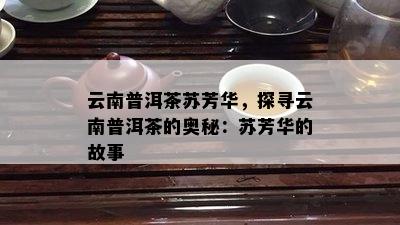 云南普洱茶苏芳华，探寻云南普洱茶的奥秘：苏芳华的故事