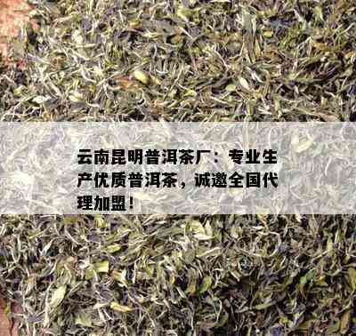 云南昆明普洱茶厂：专业生产优质普洱茶，诚邀全国代理加盟！