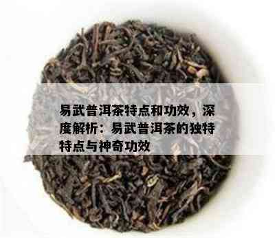 易武普洱茶特点和功效，深度解析：易武普洱茶的独特特点与神奇功效