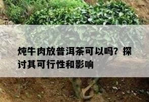 炖牛肉放普洱茶可以吗？探讨其可行性和作用