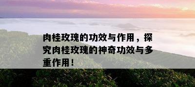 肉桂玫瑰的功效与作用，探究肉桂玫瑰的神奇功效与多重作用！