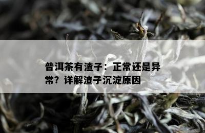 普洱茶有渣子：正常还是异常？详解渣子沉淀起因