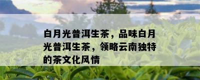 白月光普洱生茶，品味白月光普洱生茶，领略云南特别的茶文化风情