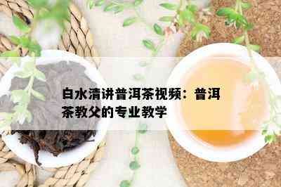 白水清讲普洱茶视频：普洱茶教父的专业教学