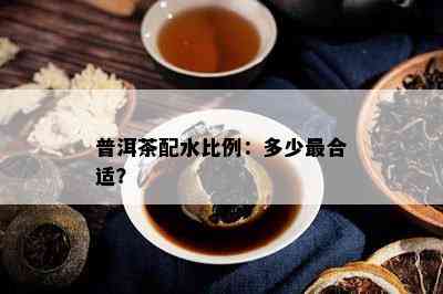 普洱茶配水比例：多少最合适？