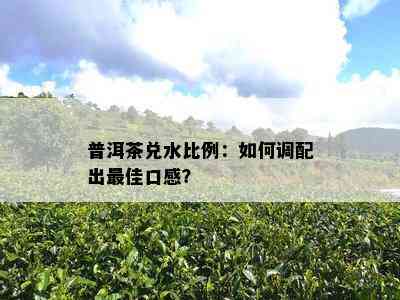 普洱茶兑水比例：怎样调配出更佳口感？