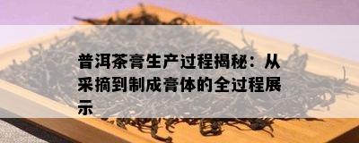 普洱茶膏生产过程揭秘：从采摘到制成膏体的全过程展示