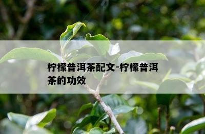 柠檬普洱茶配文-柠檬普洱茶的功效