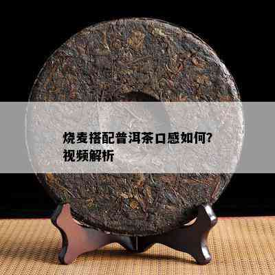 烧麦搭配普洱茶口感怎样？视频解析