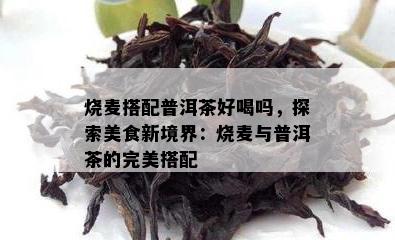 烧麦搭配普洱茶好喝吗，探索美食新境界：烧麦与普洱茶的完美搭配