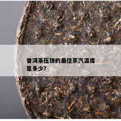 普洱茶压饼的更佳蒸汽温度是多少？