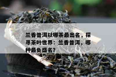 兰香普洱以哪茶最出名，探寻茶叶世界：兰香普洱，哪种最负盛名？