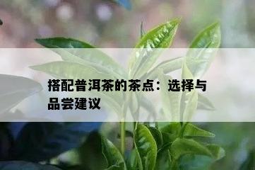 搭配普洱茶的茶点：选择与品尝建议