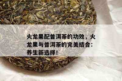 火龙果配普洱茶的功效，火龙果与普洱茶的完美结合：养生新选择！