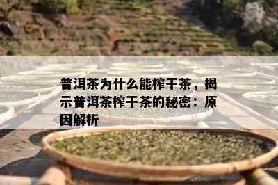 普洱茶为什么能榨干茶，揭示普洱茶榨干茶的秘密：起因解析