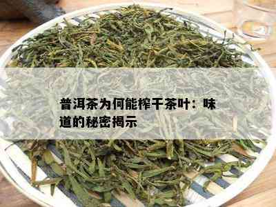 普洱茶为何能榨干茶叶：味道的秘密揭示