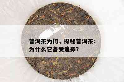 普洱茶为何，探秘普洱茶：为什么它备受追捧？