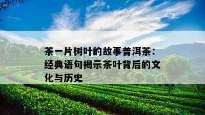 茶一片树叶的故事普洱茶：经典语句揭示茶叶背后的文化与历史