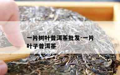 一片树叶普洱茶批发-一片叶子普洱茶