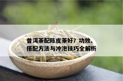 普洱茶配陈皮茶好？功效、搭配方法与冲泡技巧全解析