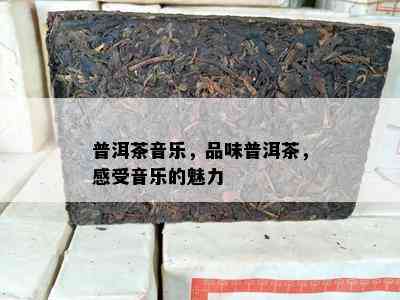 普洱茶音乐，品味普洱茶，感受音乐的魅力