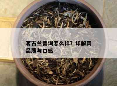 茗古兰普洱怎么样？详解其品质与口感