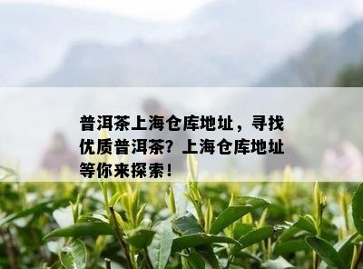 普洱茶上海仓库地址，寻找优质普洱茶？上海仓库地址等你来探索！