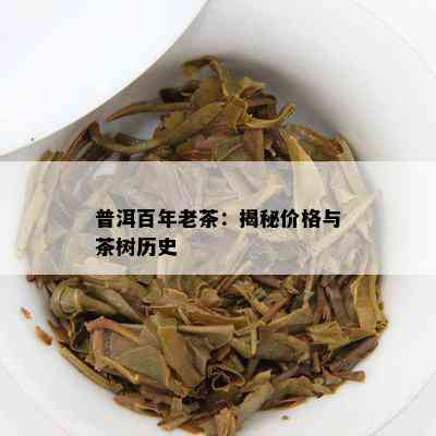 普洱百年老茶：揭秘价格与茶树历史