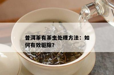 普洱茶有茶虫处理方法：如何有效驱除？