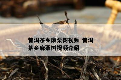 普洱茶乡麻栗树视频-普洱茶乡麻栗树视频介绍