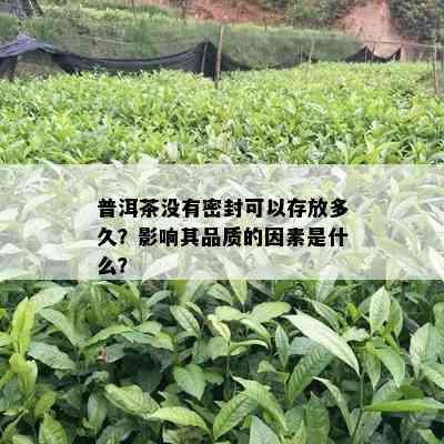 普洱茶不存在密封可以存放多久？作用其品质的因素是什么？