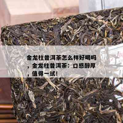 金龙柱普洱茶怎么样好喝吗，金龙柱普洱茶：口感醇厚，值得一试！