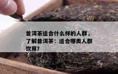 普洱茶适合什么样的人群，熟悉普洱茶：适合哪类人群饮用？