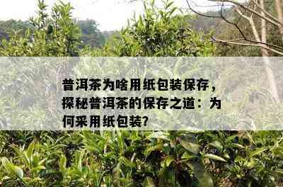 普洱茶为啥用纸包装保存，探秘普洱茶的保存之道：为何采用纸包装？