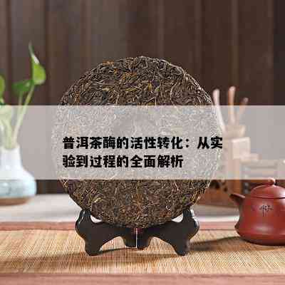 普洱茶酶的活性转化：从实验到过程的全面解析