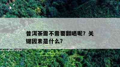 普洱茶需不需要翻晒呢？关键因素是什么？