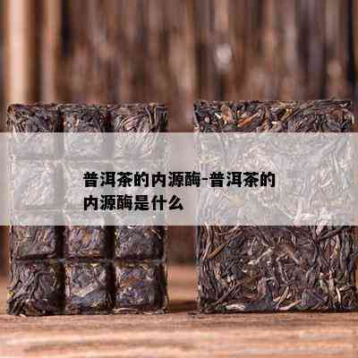 普洱茶的内源酶-普洱茶的内源酶是什么