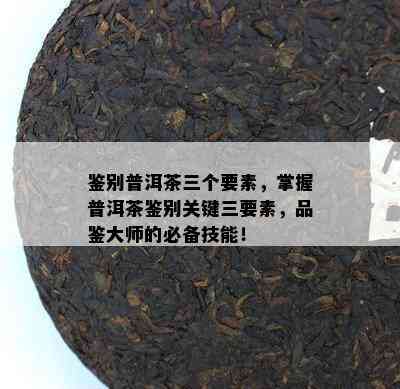 鉴别普洱茶三个要素，掌握普洱茶鉴别关键三要素，品鉴大师的必备技能！