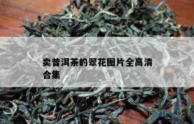 卖普洱茶的翠花图片全高清合集