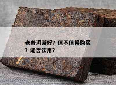 老普洱茶好？值不值得购买？能否饮用？