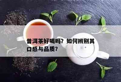 普洱茶好喝吗？怎样辨别其口感与品质？