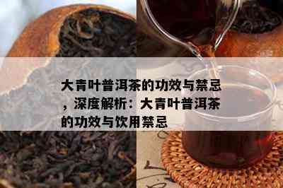 大青叶普洱茶的功效与禁忌，深度解析：大青叶普洱茶的功效与饮用禁忌