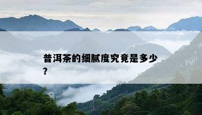 普洱茶的细腻度究竟是多少？