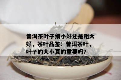 普洱茶叶子细小好还是粗大好，茶叶品鉴：普洱茶叶，叶子的大小真的重要吗？