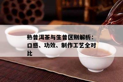 熟普洱茶与生普区别解析：口感、功效、制作工艺全对比