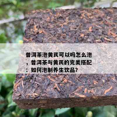 普洱茶泡黄芪可以吗怎么泡，普洱茶与黄芪的完美搭配：怎样泡制养生饮品？