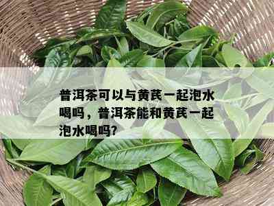 普洱茶可以与黄芪一起泡水喝吗，普洱茶能和黄芪一起泡水喝吗？