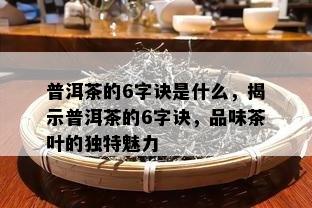 普洱茶的6字诀是什么，揭示普洱茶的6字诀，品味茶叶的特别魅力